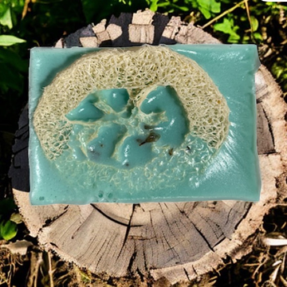 Hand Crafted Loofah Shea Butter Soap - JuJuBee Vanilla Scent (Teal Recta…